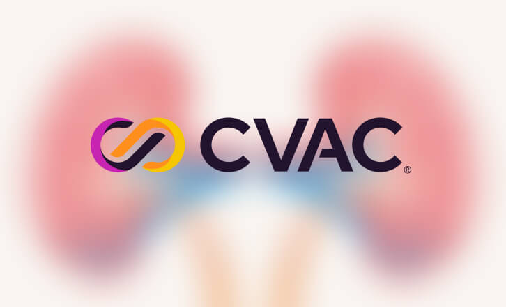 An illustration of the kidneys featuring the CVAC System logo